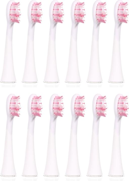 Actual product image Ailoria Shine Bright (12 x)