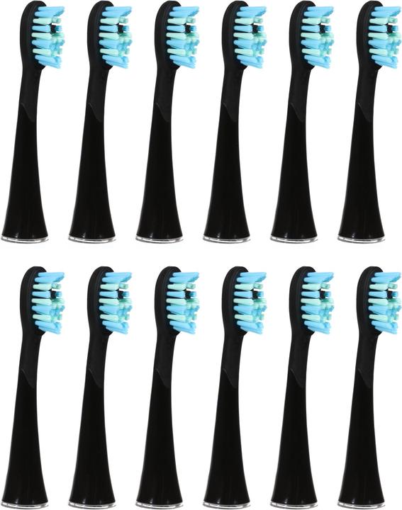 Immagine prodotto Ailoria Splendore luminoso (12 x)