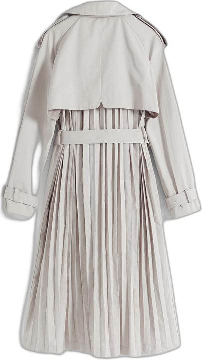 Image du produit Desigual Pleated