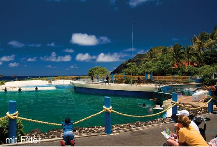 Actual product image Kenko PRO1D C-PL (72 mm, Polarizing filter)