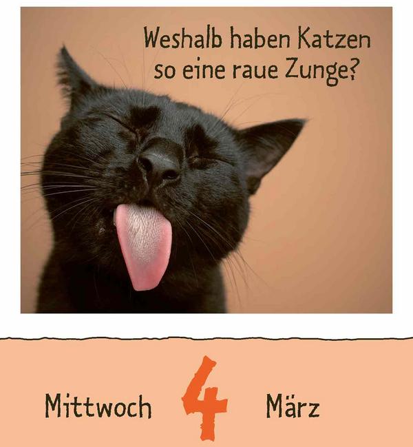 Produktbild Wie faul ist das Faultier? 2026 (12 x 16 cm)