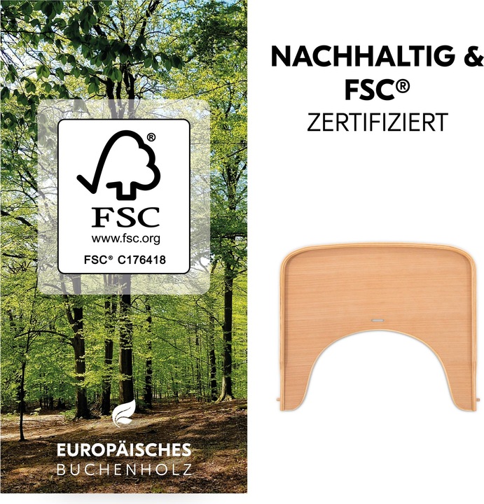 Actual product image Hauck Alpha Tray