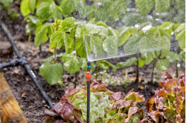 Immagine prodotto Gardena Tubo di prolunga del sistema a microgoccia (Tubo di gocciolamento + tubo di gocciolamento)