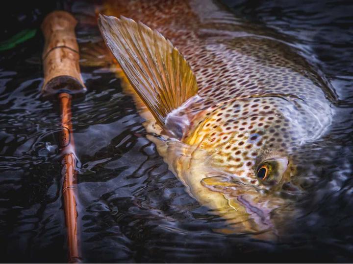 Immagine prodotto Vision Rivermaniac Medium 905-4 (Asta a tutto tondo, 275 cm)