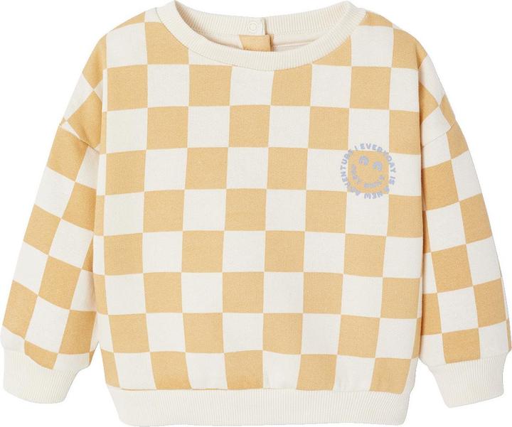 Actual product image Vertbaudet Baby Sweatshirt mit Schachbrettmuster (92)