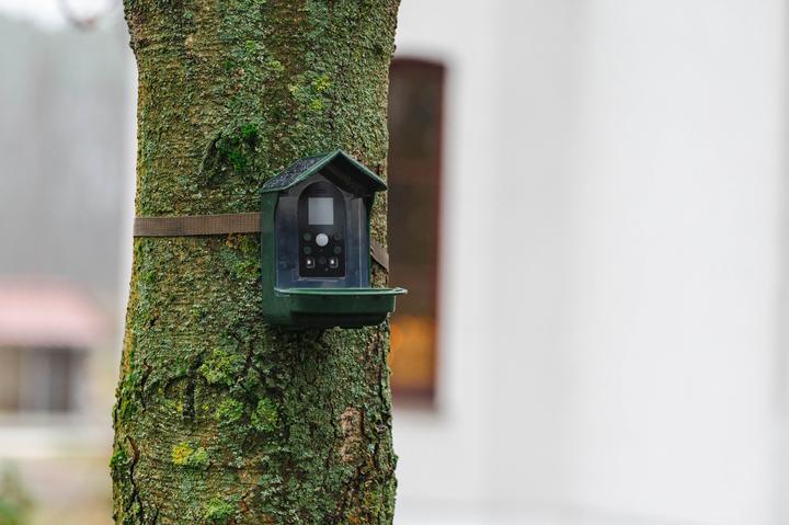 Produktbild Braun Photo 130 Solar