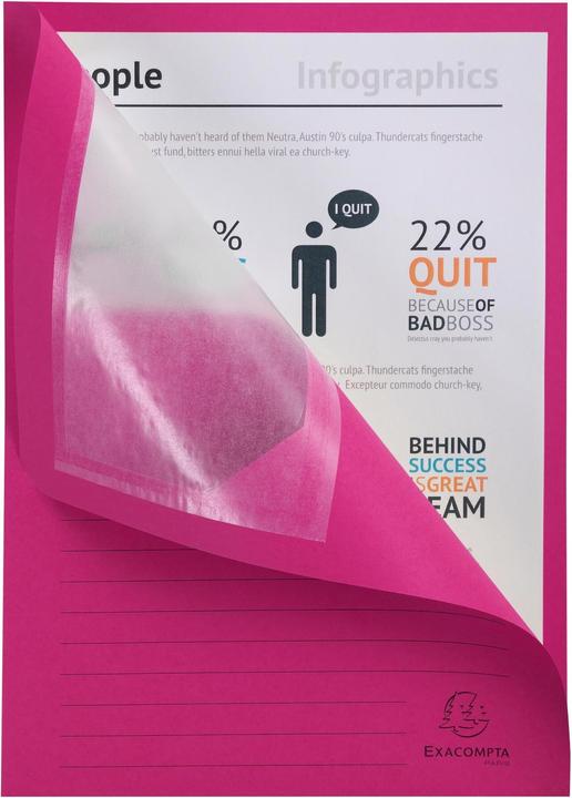 Actual product image Exacompta Collection folders - File covers (A4, 100 x)