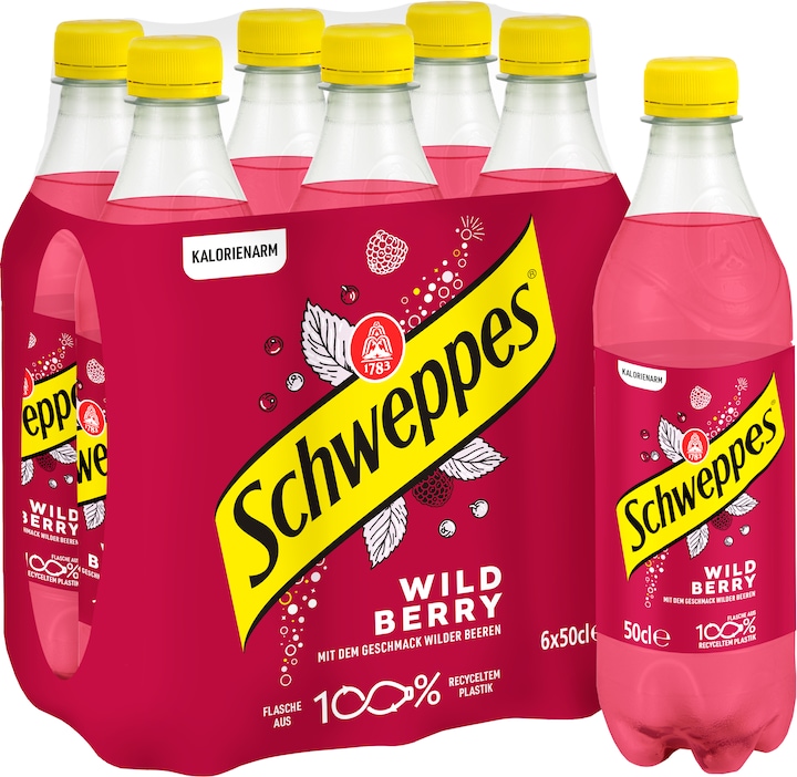 Schweppes Wild Berry (6 x 50 cl)