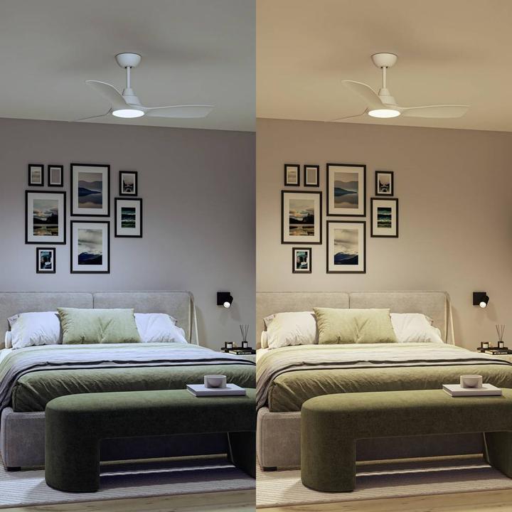 Image du produit Philips Olas