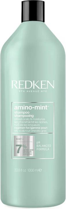 Immagine prodotto Redken Amino Mint (1000 ml)
