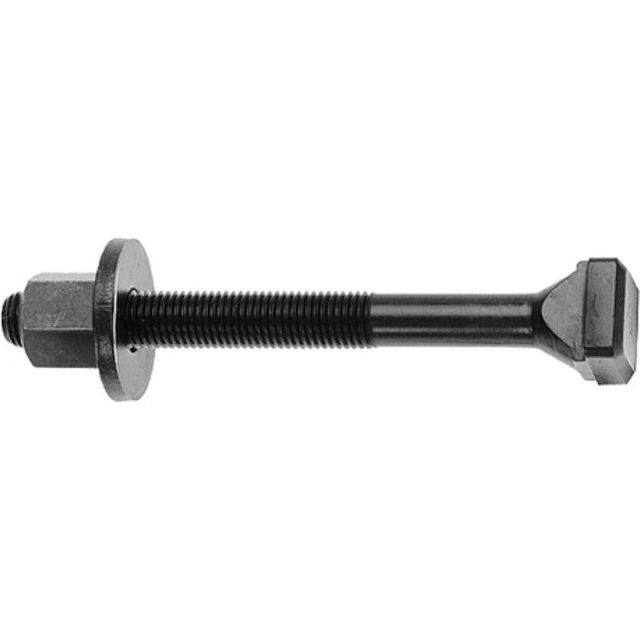 Amf, Viti, Bulloni a T DIN 787 14 M 12 x 100 mm (1 Viti per pezzo)