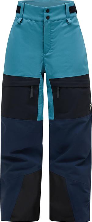 Actual product image Peak Performance Gravity Pants (170)