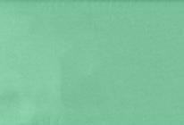 Algon rouleau de nappe verte avec mandrin 1x5m