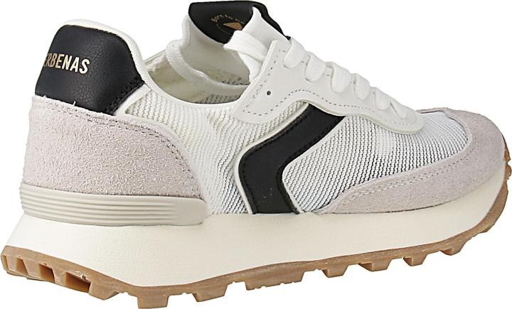 Immagine prodotto Verbenas Clodette (39)