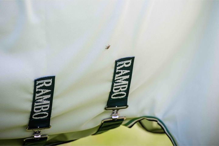 Produktbild Horseware Fliegendecke Rambo Hoody