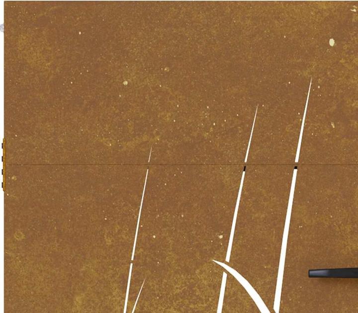 Produktbild vidaXL Gartentor