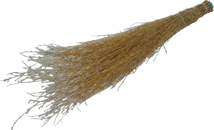 Produktbild Edi Clean Bambusbesen ohne Stiel