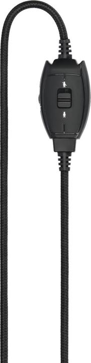 Actual product image Hama HS-P300 (Cable)