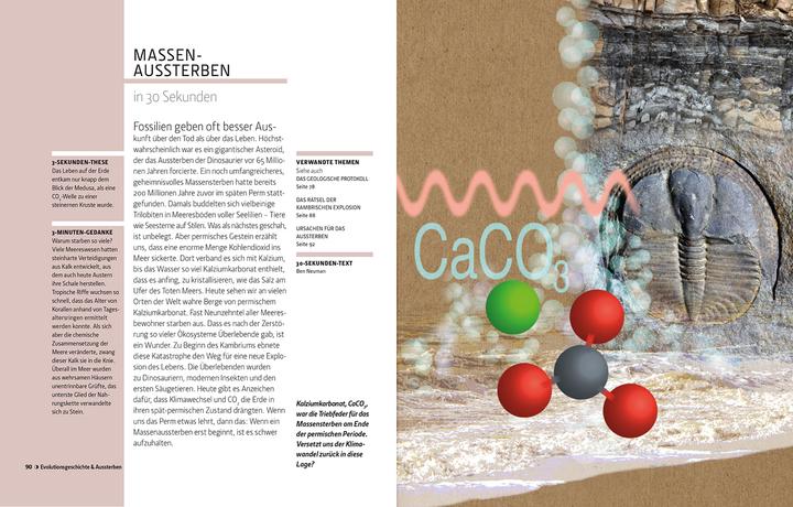 Produktbild Librero Die Evolution in 30 Sekunden