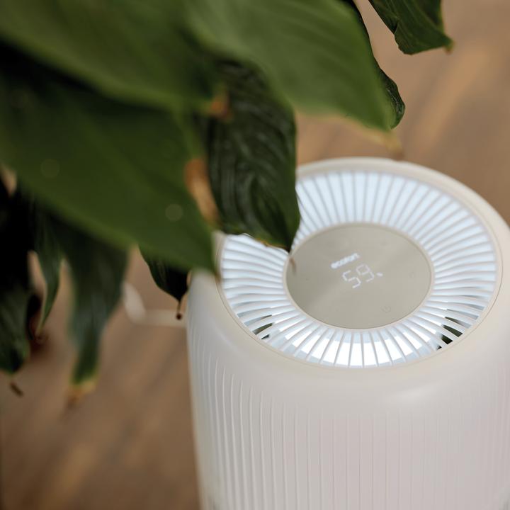 Produktbild ecofort ecoQ HumidAir E600+ (80 m²)