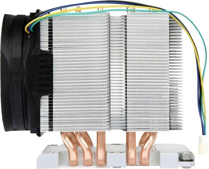 Productafbeelding Intertech B-11 actief LG 3647 NARROW (80 mm)