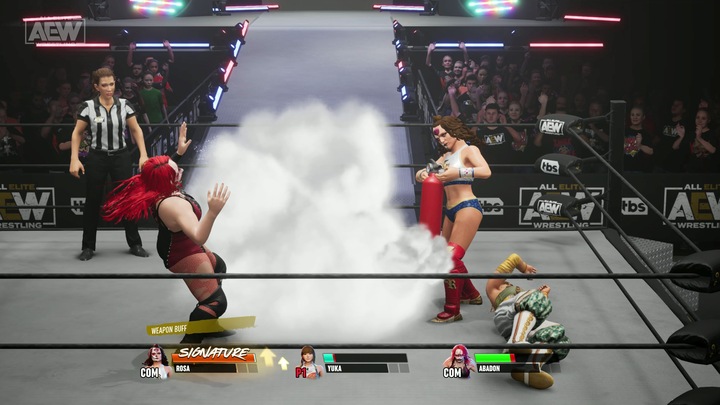 Actual product image THQ AEW: Fight Forever (PS5, DE)