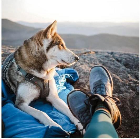 Immagine prodotto Non-Stop Dogwear Ly Sacco a pelo per cani (L, Cappotto per cani)