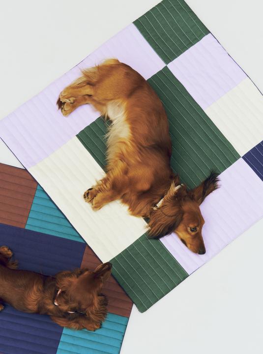 Productafbeelding HAY - Quilted Dogs Travel Blanket 80 x 80 (Multi) (Hond)