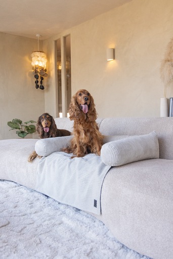 Productafbeelding Designed by Lotte Bankkussen Geribd (Hond)