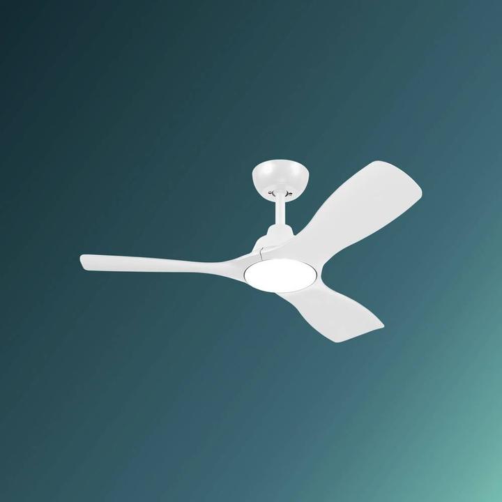 Image du produit Philips Olas
