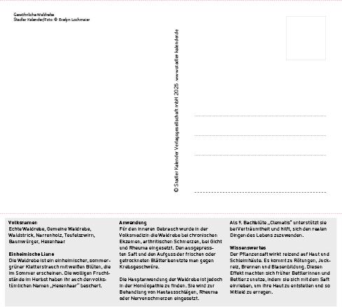 Produktbild HeilpfanzenrundumdenBodensee2026