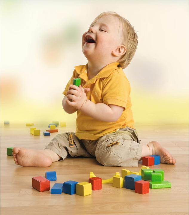 Actual product image Eichhorn Building blocks