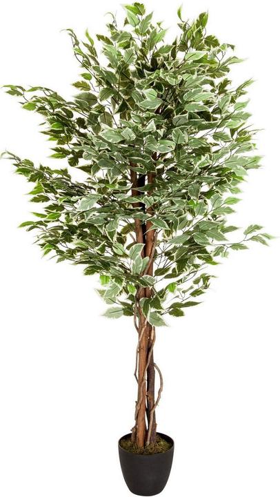 Produktbild Bümö Kunstpflanze Birkenfeige (ficus) (165 cm)