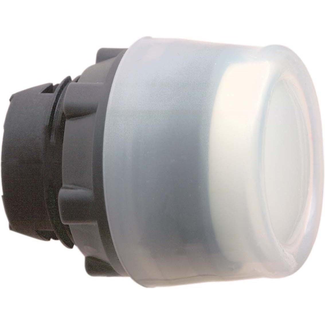 Schneider Electric Pushbutton Operator Head, Taster + Schalter, Weiss