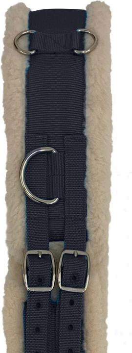 Produktbild Shires Longiergurt Nylon