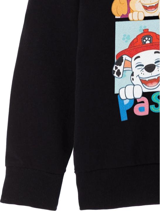 Produktbild Paw Patrol Smile And Pass It On Kapuzenpullover Mädchen (116)