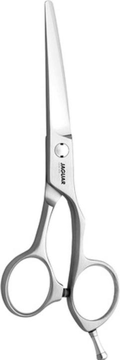 Immagine prodotto Jaguar Xenox (13.97 cm)