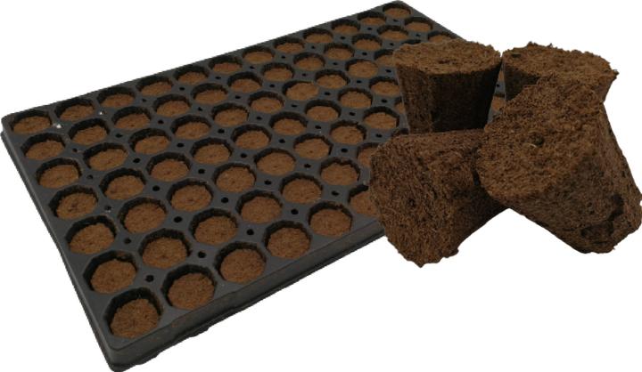 Actual product image Planta Plug Tray with 77 pcs.