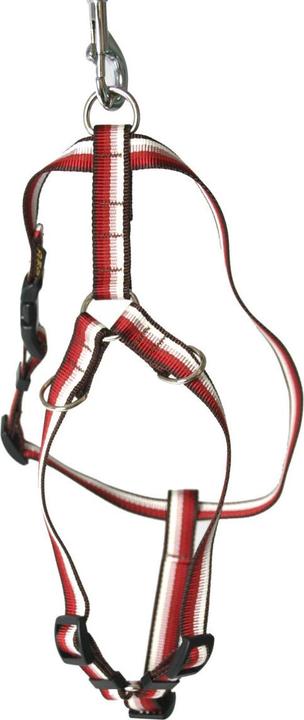 Produktbild Arka Hundegeschirr (Hund, Spazieren)