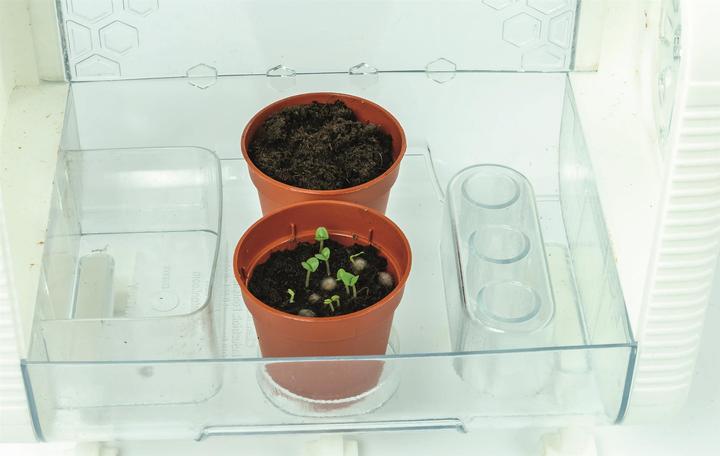 Produktbild Clementoni Terrarium