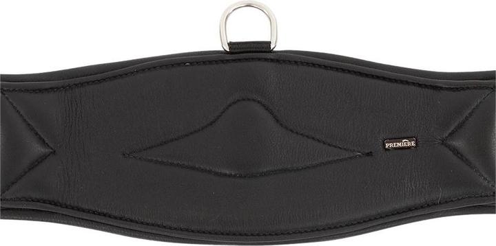 Produktbild Premiere Sattelgurt