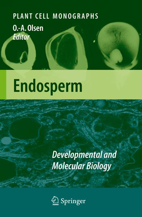 Endosperm (2010)
