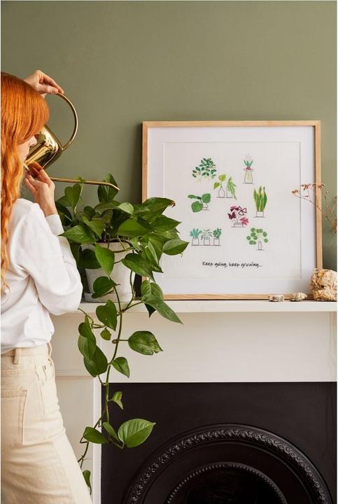 Immagine prodotto DMC Gift of Stitch Set da ricamo piante da interno