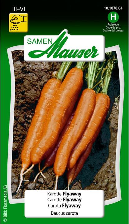 Légumes