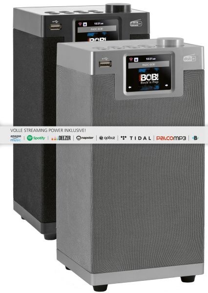 Produktbild Imperial Dabman i610 (FM, DAB+, Internetradio, UKW, Bluetooth, WLAN)
