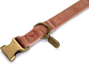 Actual product image Designed by Lotte Velura (Dog, Walks)