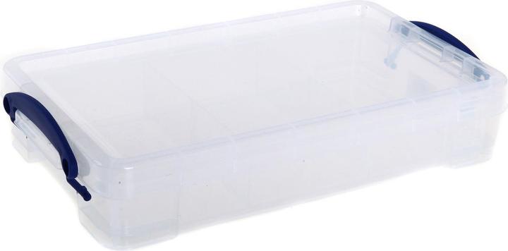 Actual product image Really Useful Box storage box (20 cm, 2.50 l, 1x)