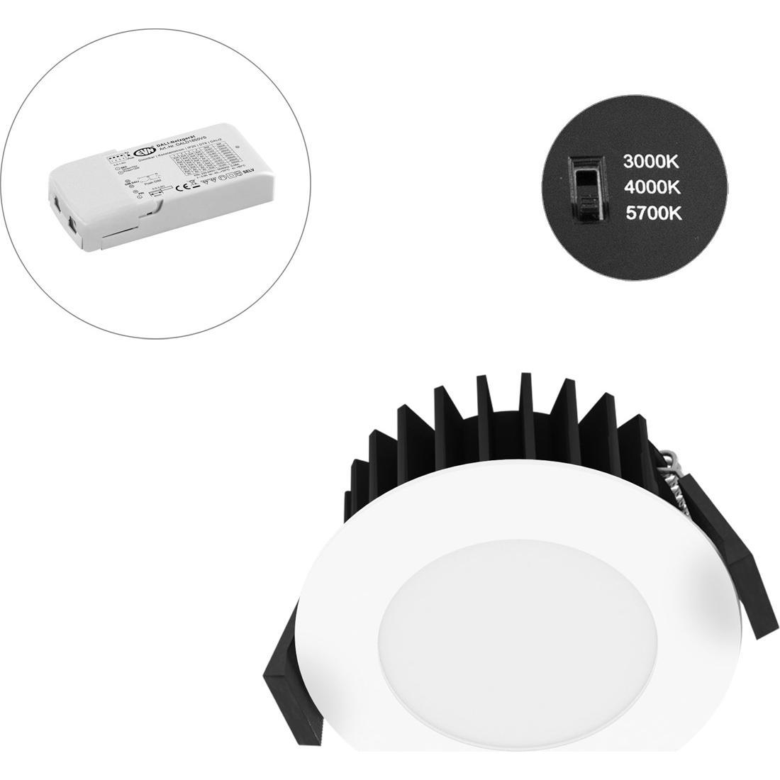 EVN-Lichttechnik, Wandleuchte + Deckenleuchte, Lichttechnik LED-Spot 230V DALI IP54 L54D100125 (1014 lm)