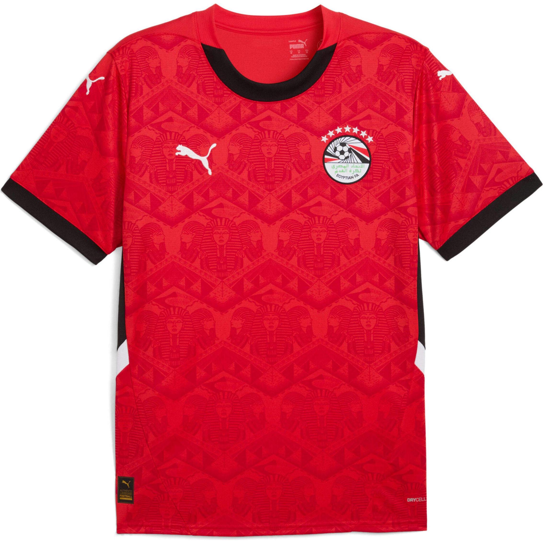 Puma, Herren, Fussballtrikot, EFA Home Jersey Replica (L), Rot, L