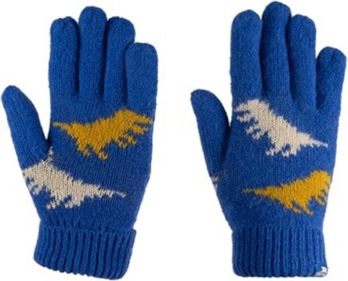 Produktbild Trespass CASPER Kinderhandschuhe (8, 10)